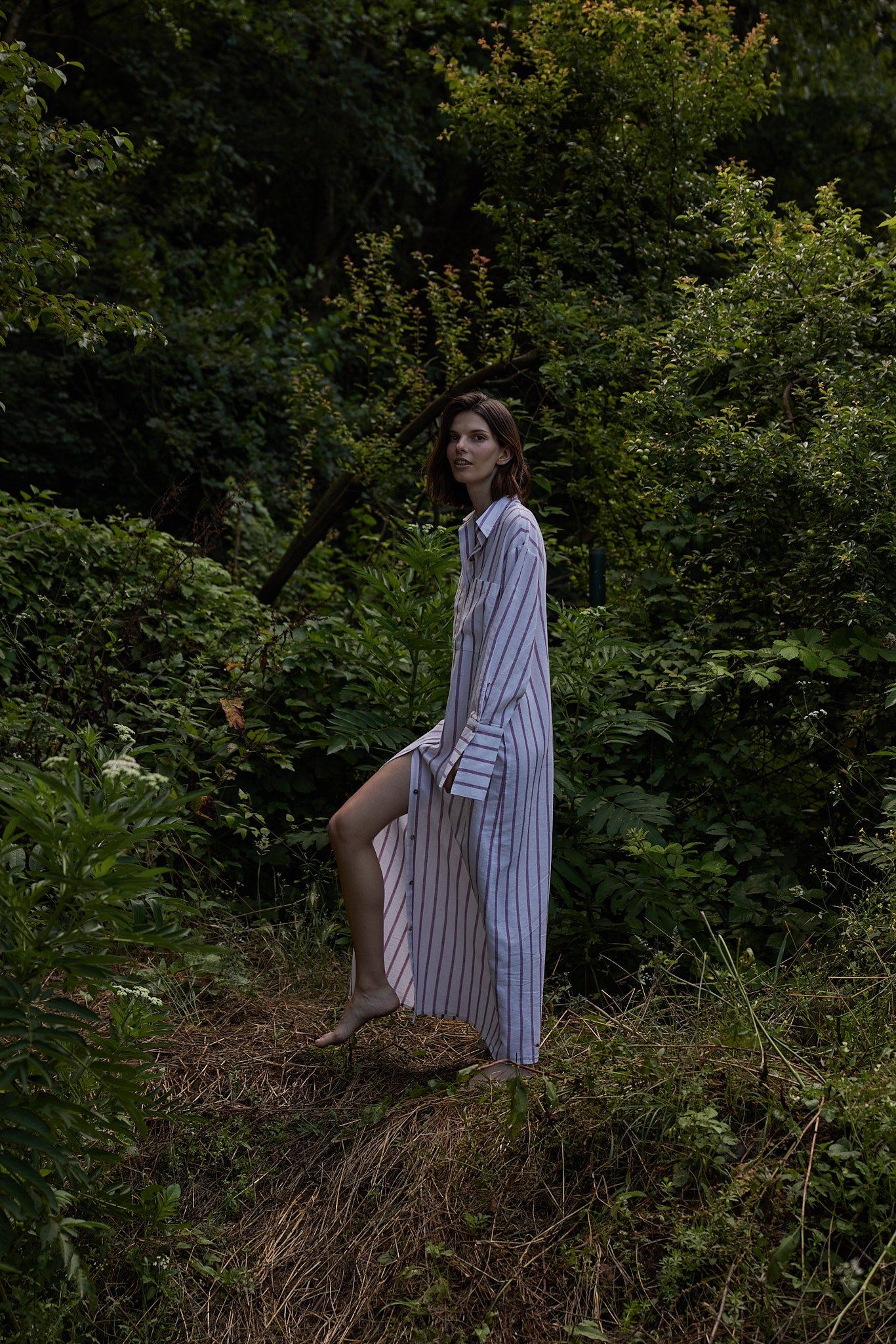 Striped Shirt Dress / Womenswear