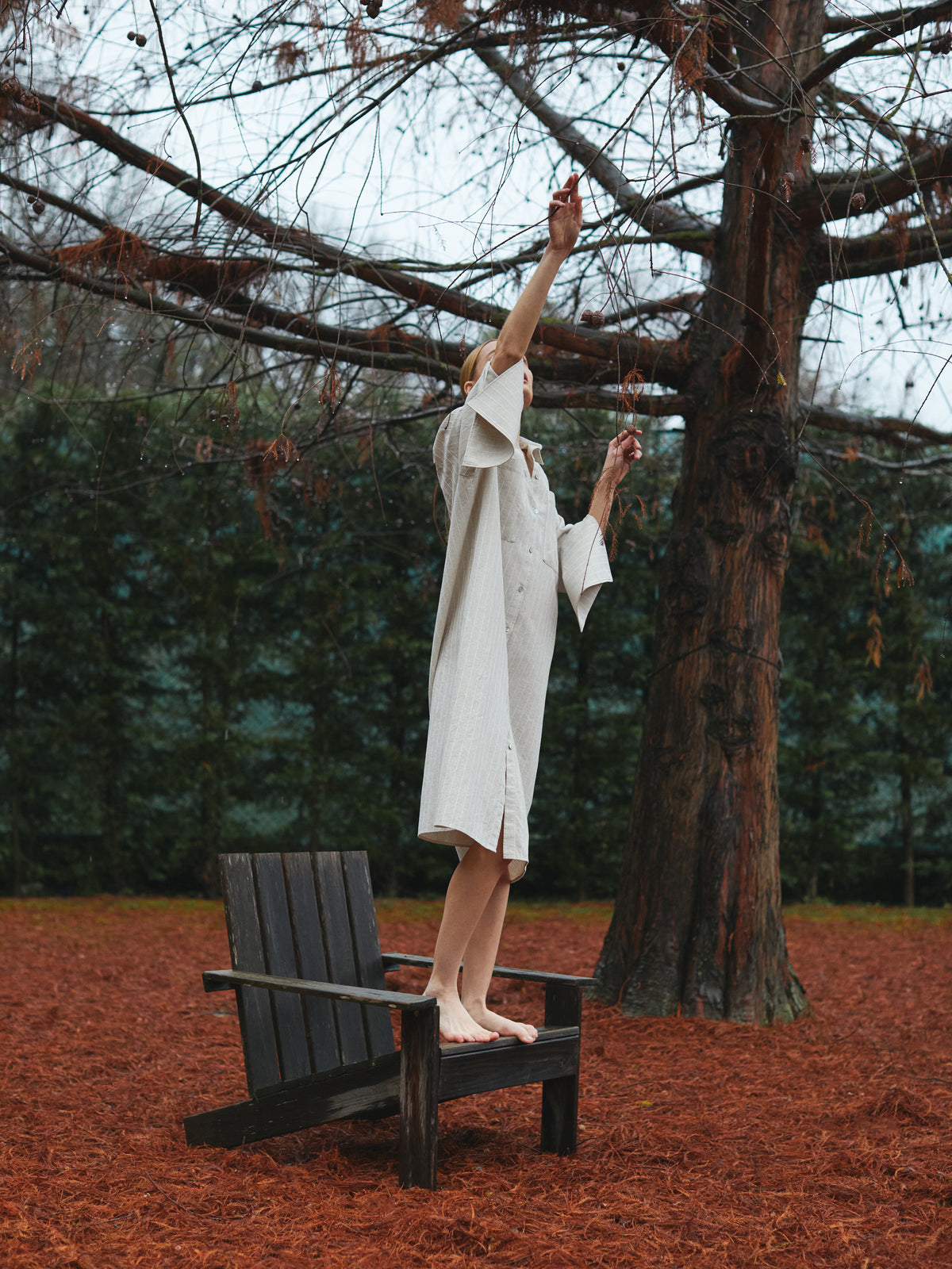 Striped Shirt Dress /Womenswear